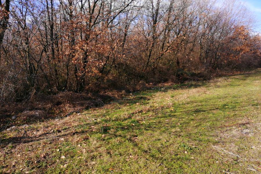 Joint tenancy 37,50% on a land parcel in Giannikochori, Imathia