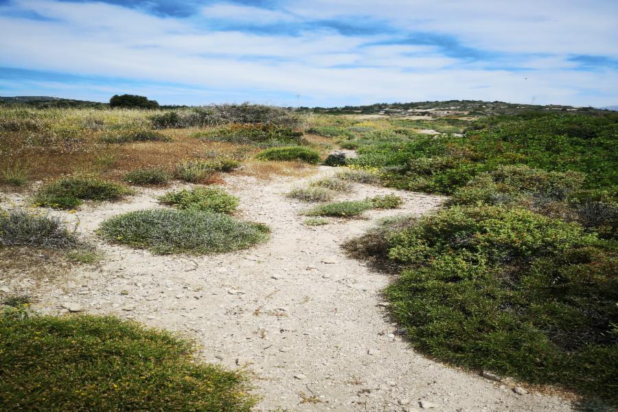 Land Parcel in Gennadi, South Rhodes