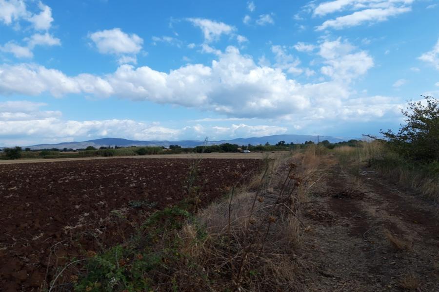  Αγροτεμάχιο (3614) στην θέση Στυφόγιαννη Μαγνησίας