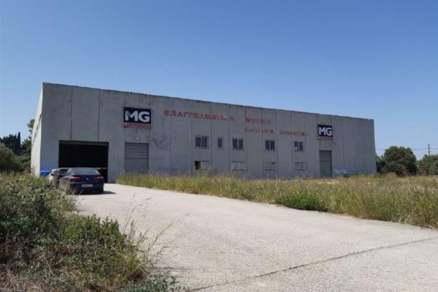 Industrial building in Kato Alissos, Dymi, Achaia